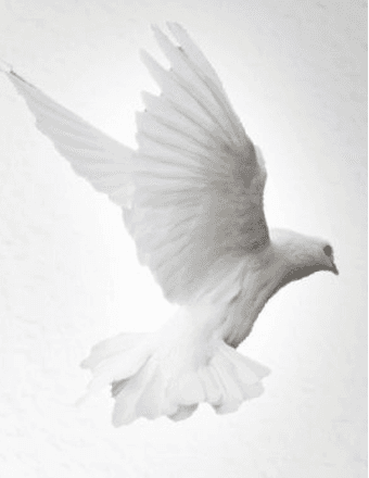 Margaret A. (DeBaker) Forsey Obituary