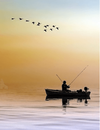 Charles Davis Obituary